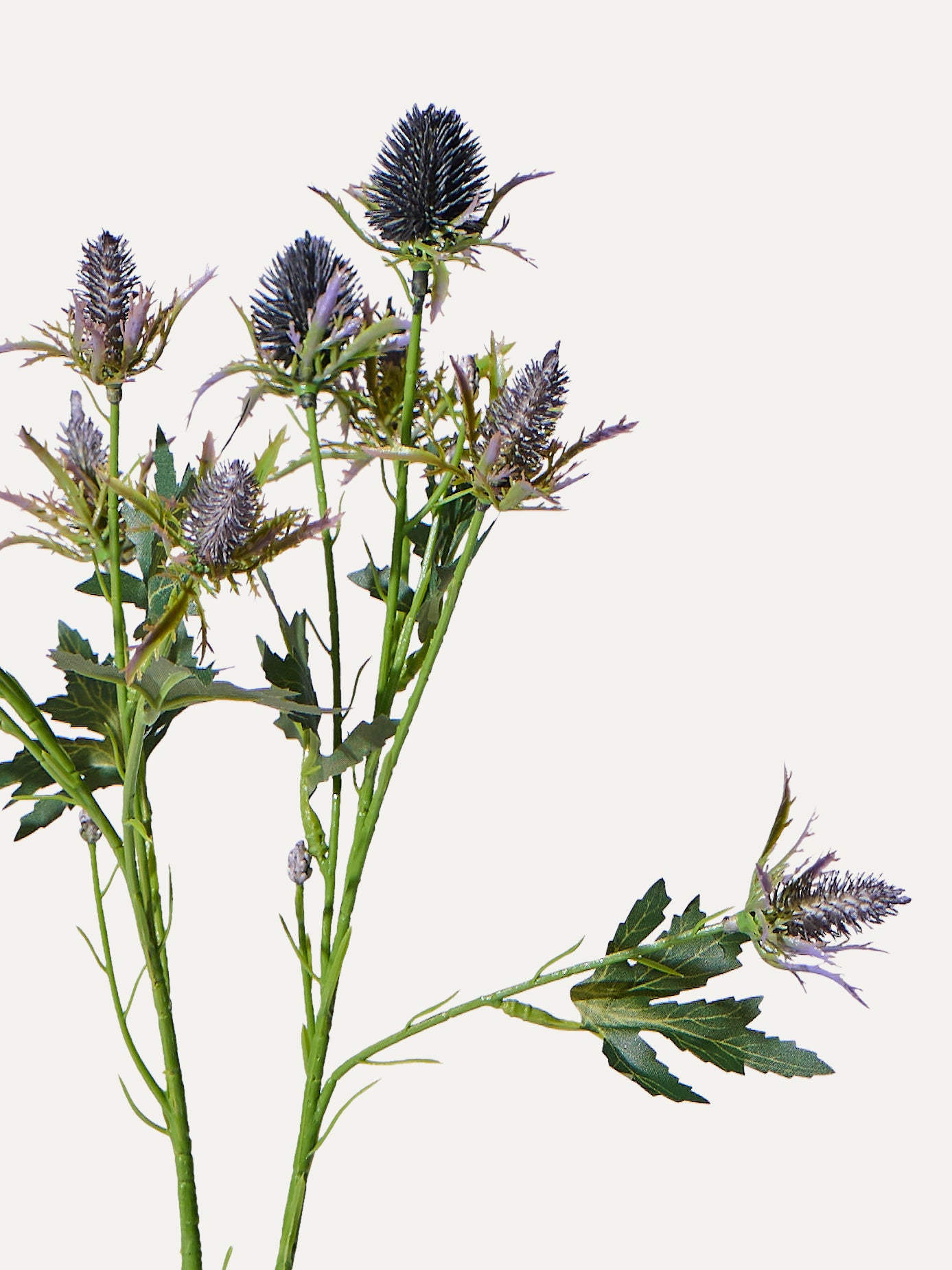 Eryngium-Zweig 68 cm 1 Stk. - Kunstzweig