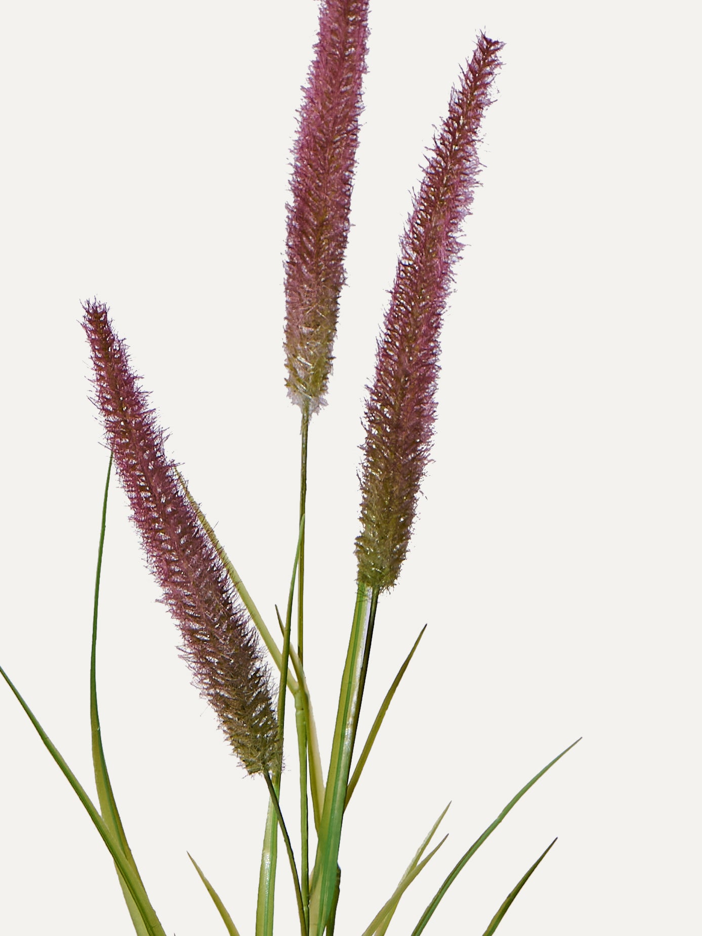 Fuchsschwanz 85 cm 1 Stk. - Kunstzweig