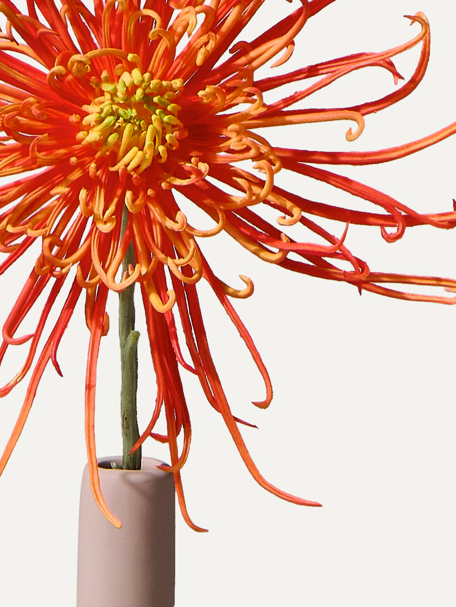 The Solo No.4 - Kunstblume inkl. Vase