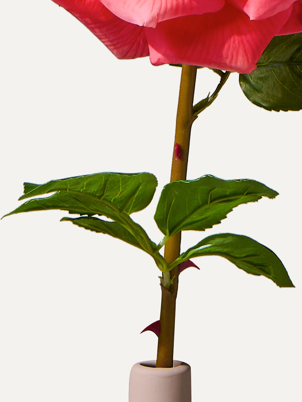 The Solo No.8