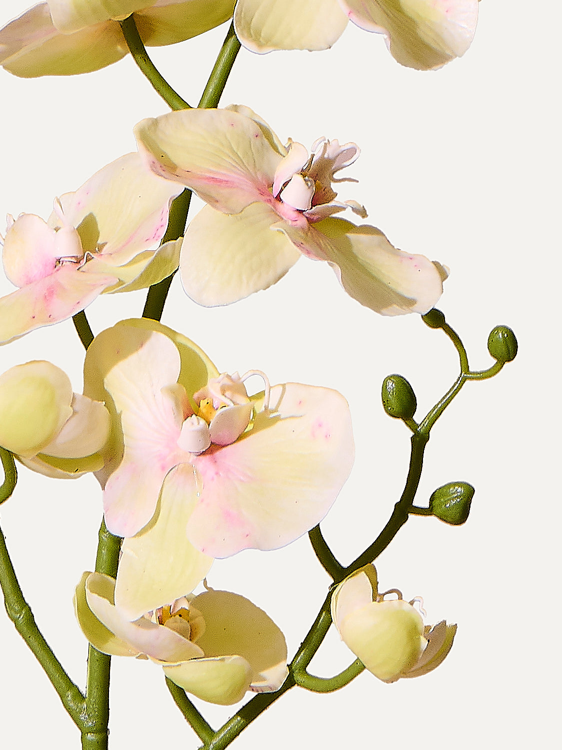 Orchidee 89 cm 1 Stk. - Kunstblume
