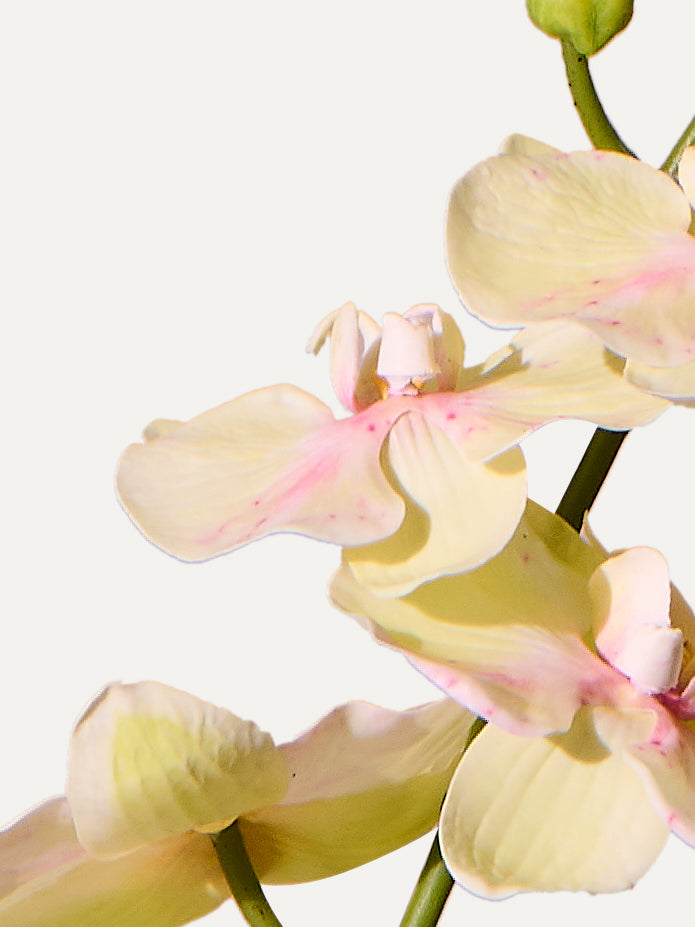 Orchidee 89 cm 1 Stk. - Kunstblume