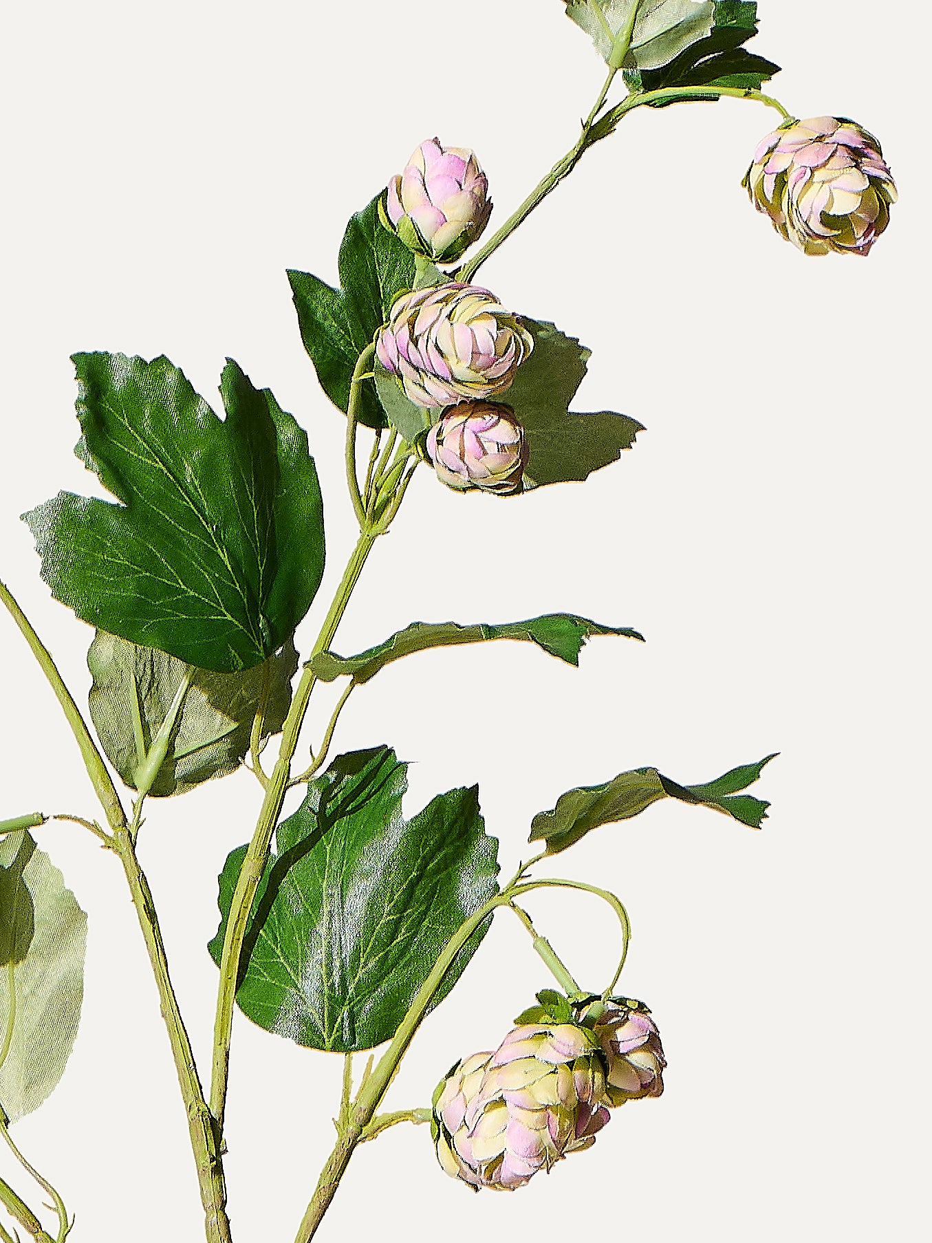 Hop branch 77 cm 1 pc. - artificial branch