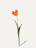 Tulpe 71 cm 1. Stk. - Kunstblume
