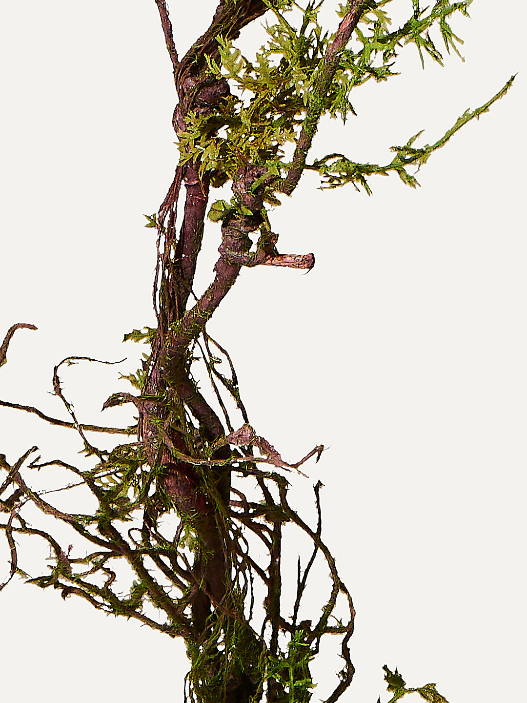 Wooden branch 142 cm 1st piece - artificial branch