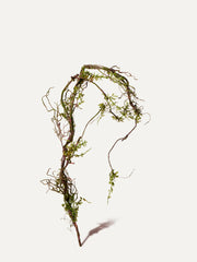 Branche en bois 142 cm 1ère pièce - branche artificielle