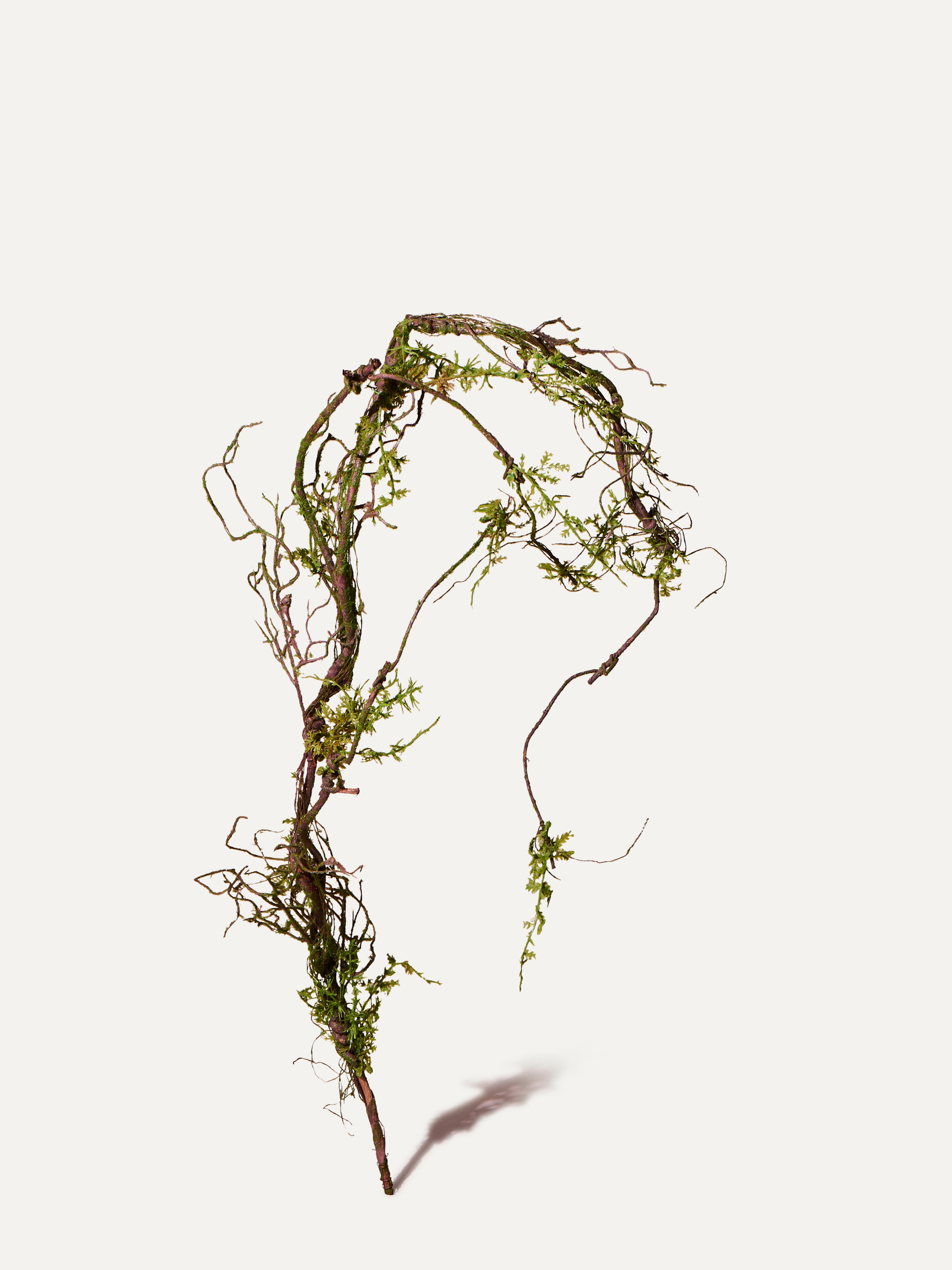 Holz Ast 142 cm 1. Stk - Kunstzweig