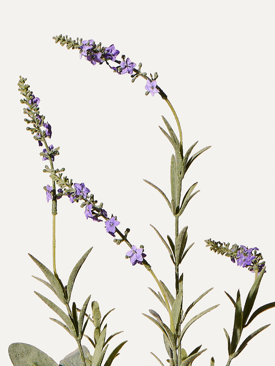 Lavender 96 cm 1st piece - artificial branch