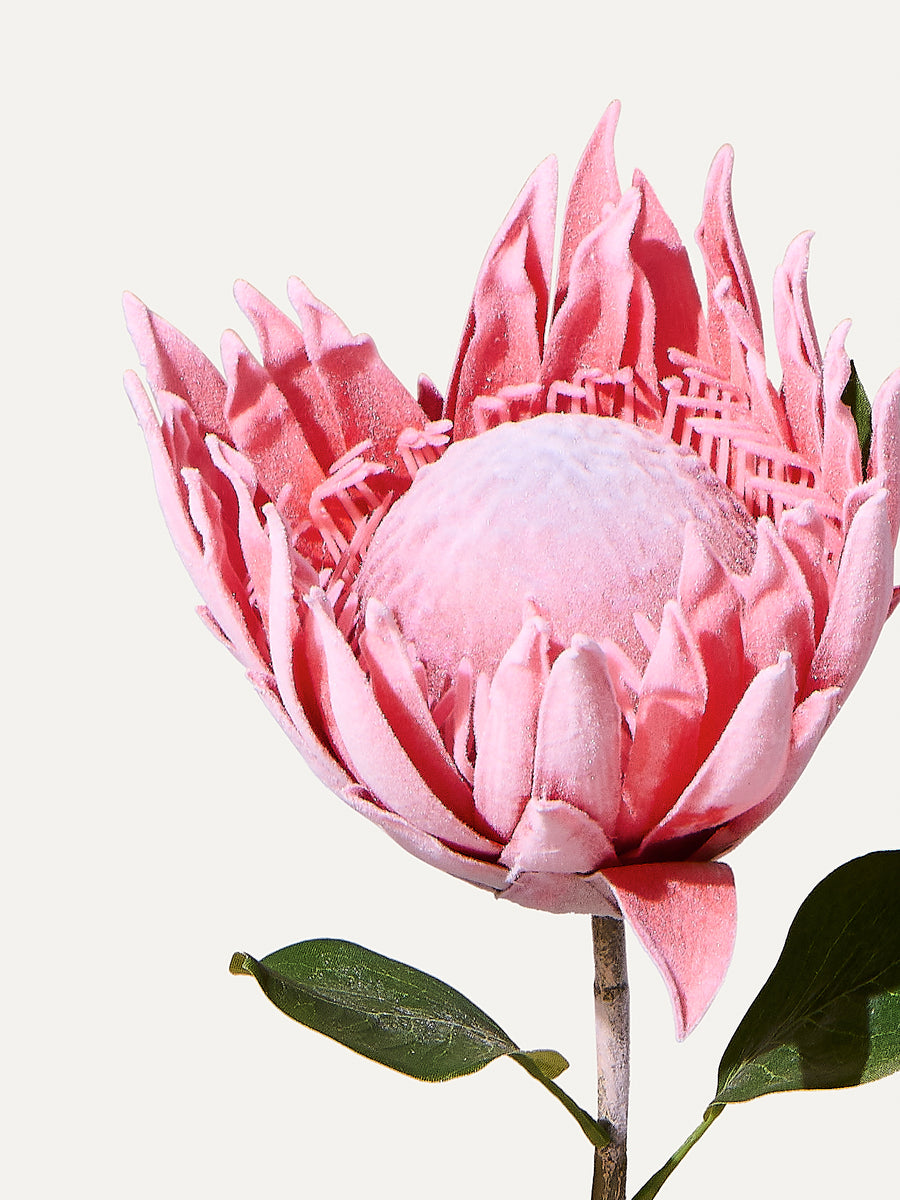 Protea 70 cm 1. Stk - Kunstblume