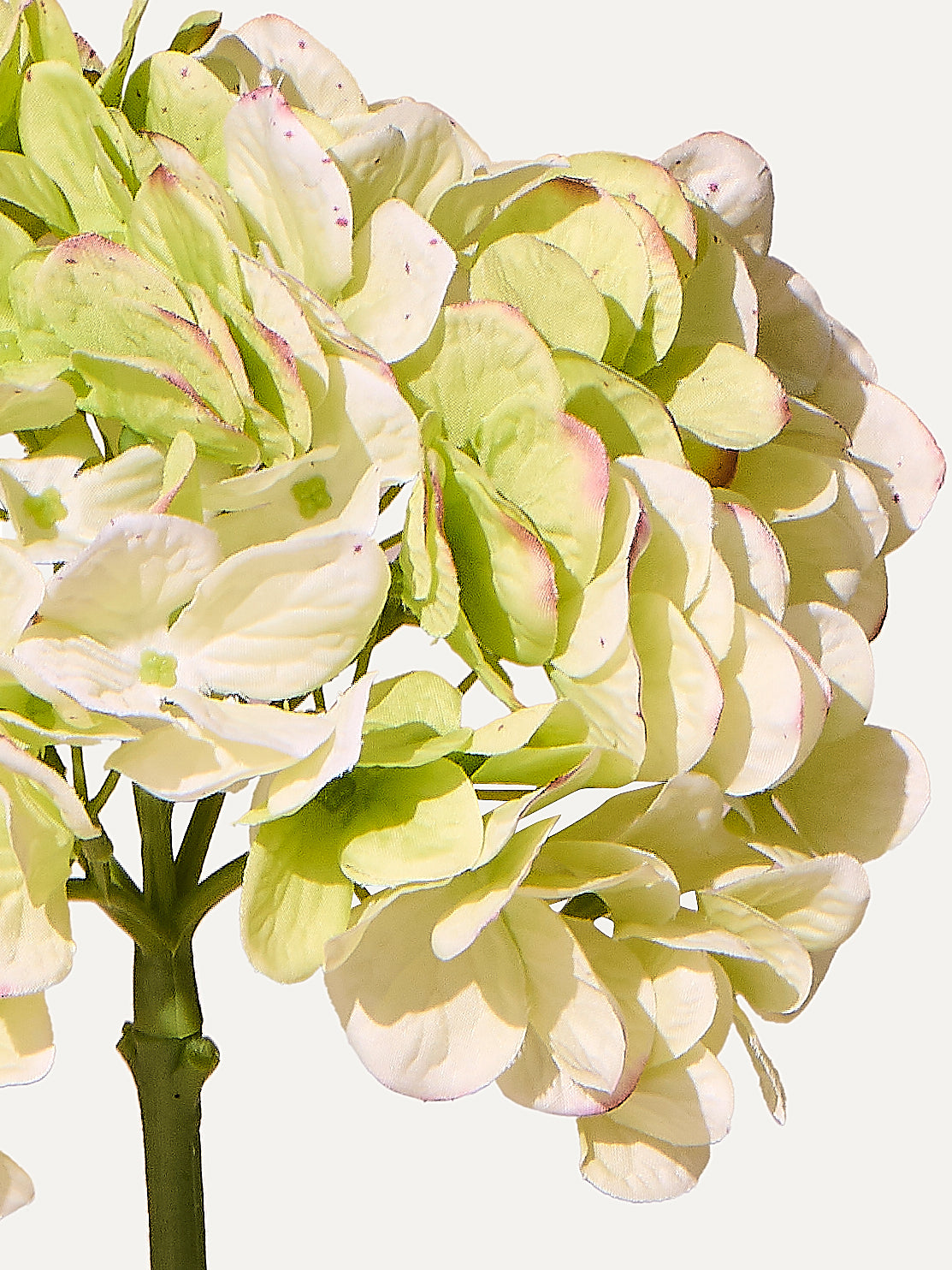 Hortensia 48 cm 1 pièce - Fleur artificielle