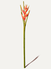 Heliconia 105 cm 1 pièce - fleur artificielle
