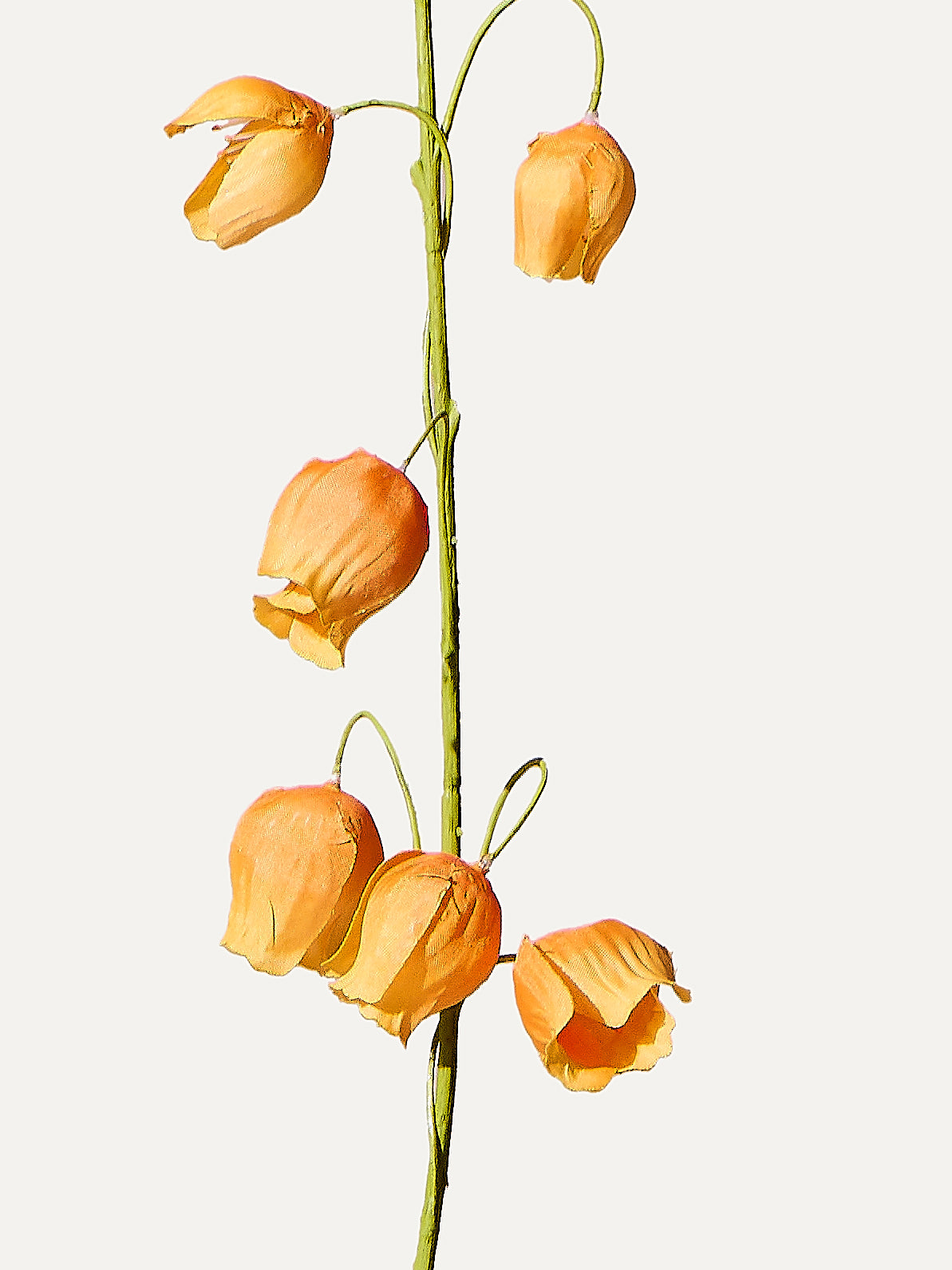 Laternenlilie 85 cm 1 Stk. - Kunstblume