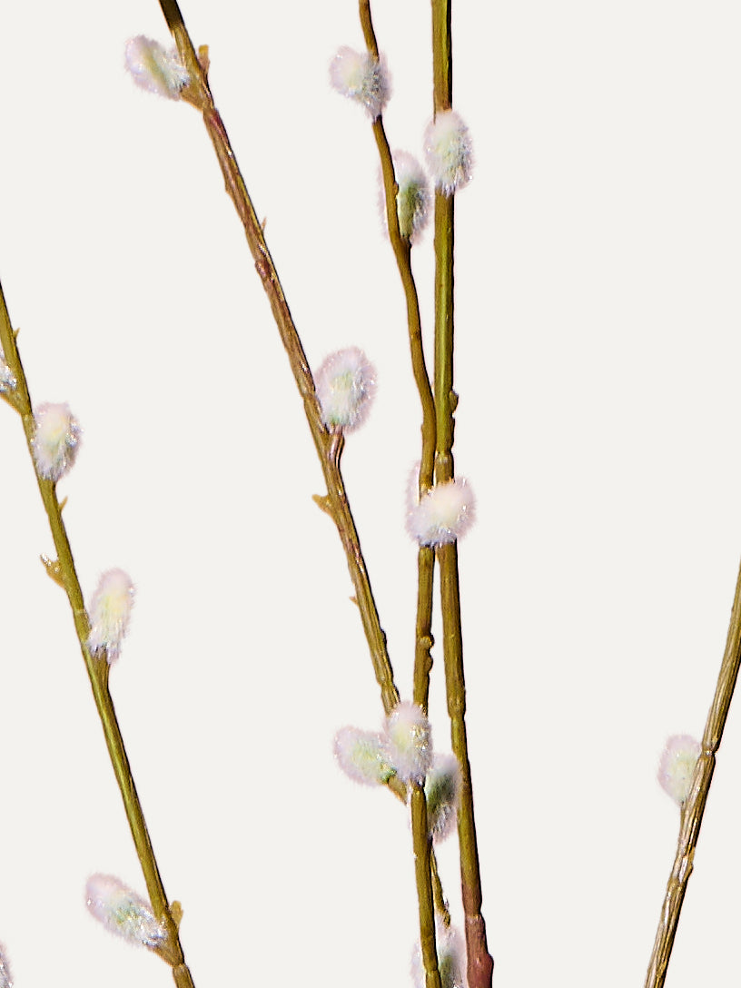 Branche de saule artificielle de 111 cm (1 pièce)