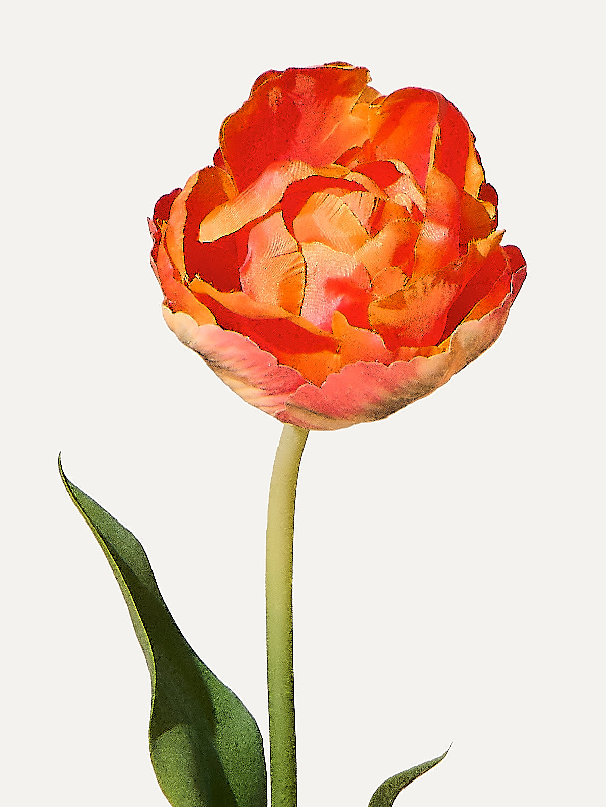 Tulip 66 cm 1 piece - artificial flower