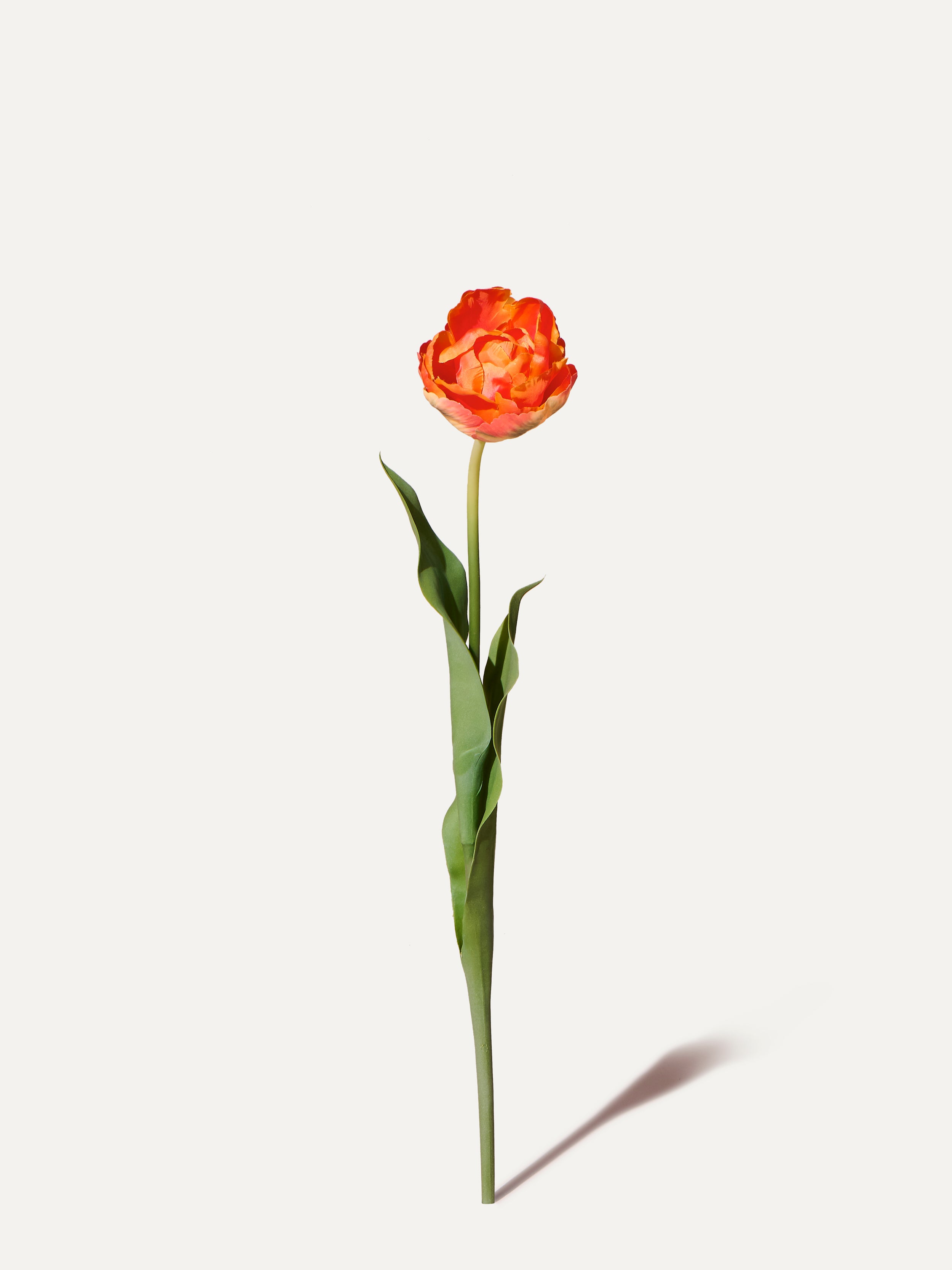 Tulpe 66 cm 1 Stk. - Kunstblume