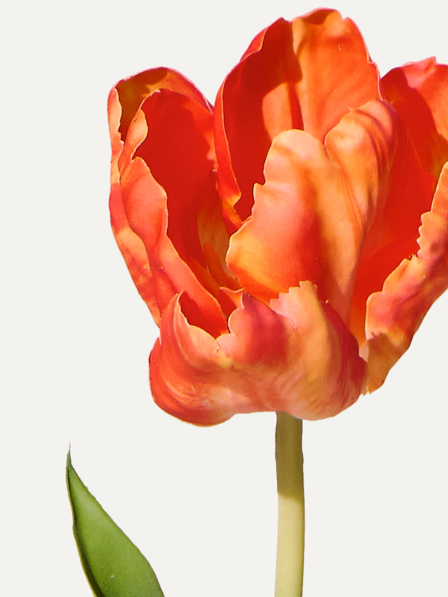 Tulipe 84 cm (1 pièce) - fleur artificielle