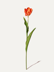 Tulipe 84 cm (1 pièce) - fleur artificielle