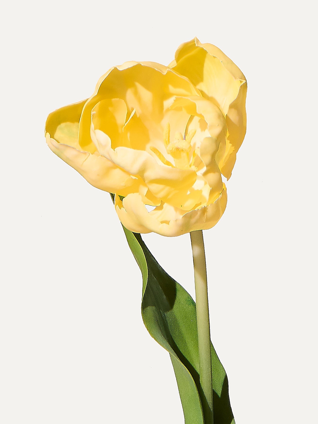 Tulip 84 cm 1 piece - artificial flower