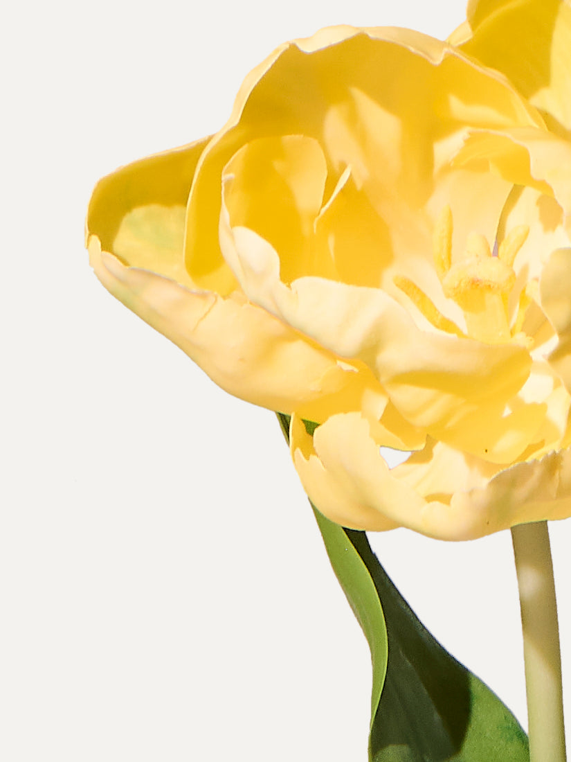 Tulipe 84 cm (1 pièce) - fleur artificielle