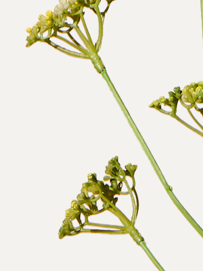 Branche d'aneth 66 cm 1 pièce - branche artificielle