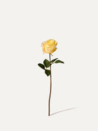 Rose 57 cm 1 Stk. - Kunstblume