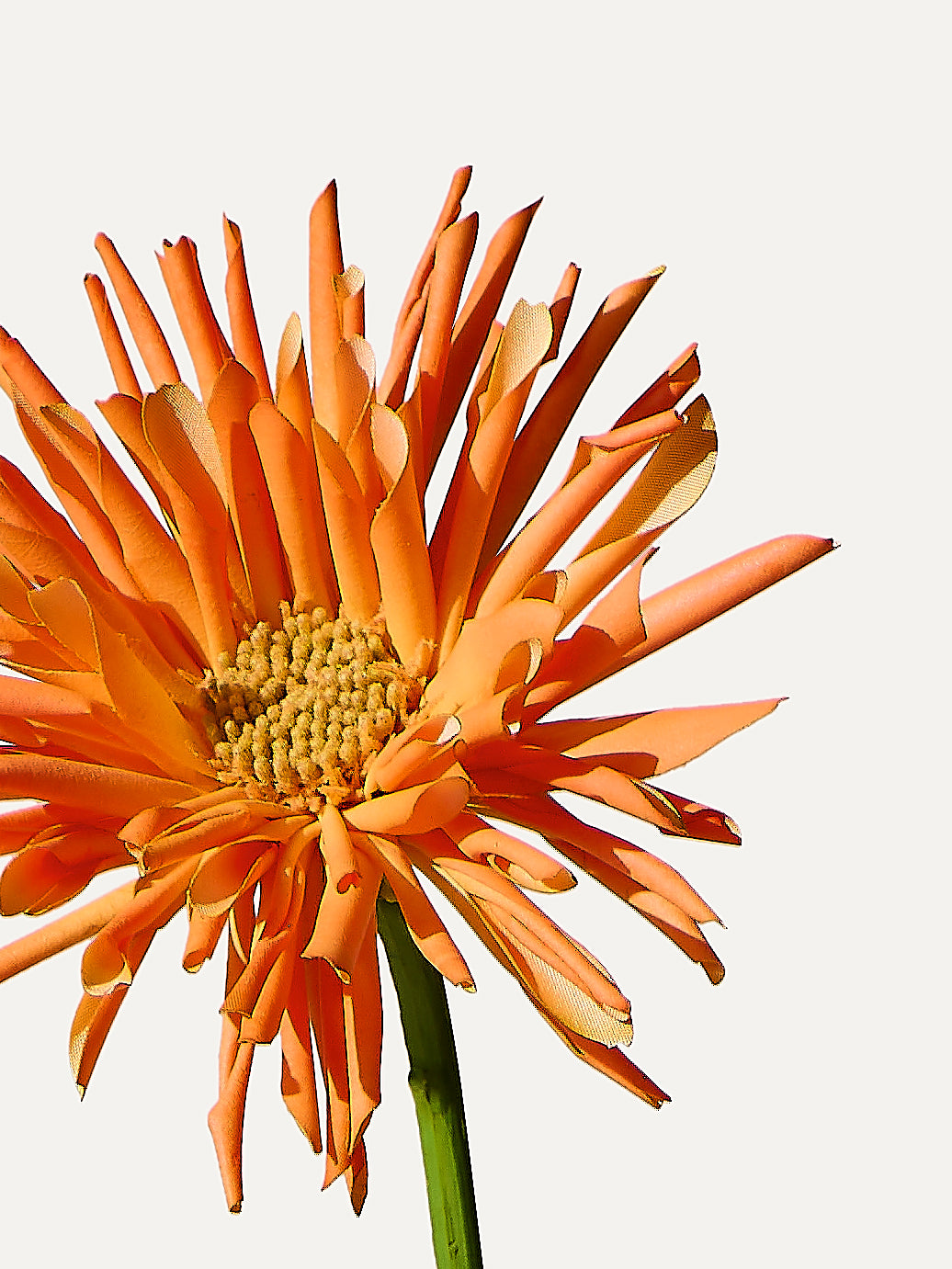 Gerbera 58 cm 1 pc. - Artificial flower