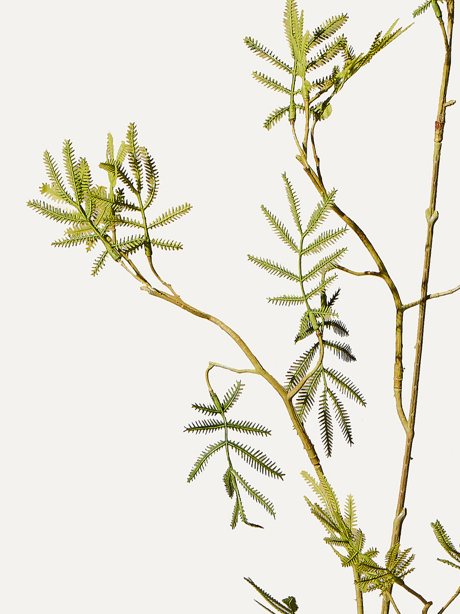 Mimosa branch 96 cm 1 piece - artificial branch