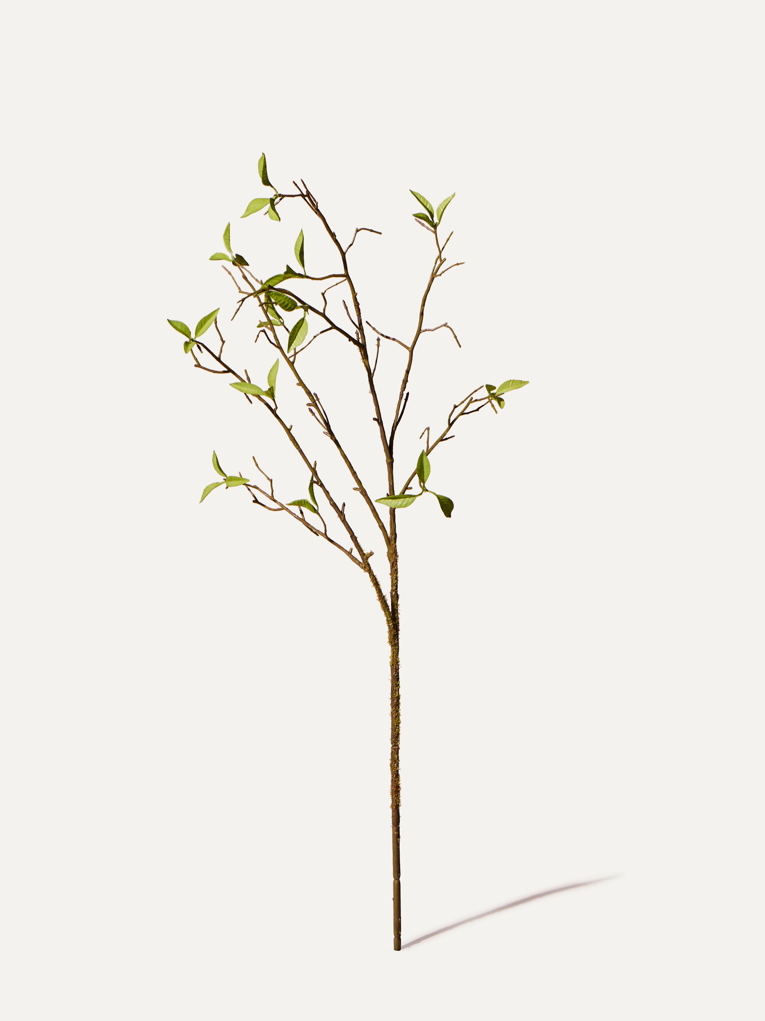Branche de saule artificielle de 76 cm (1 pièce)