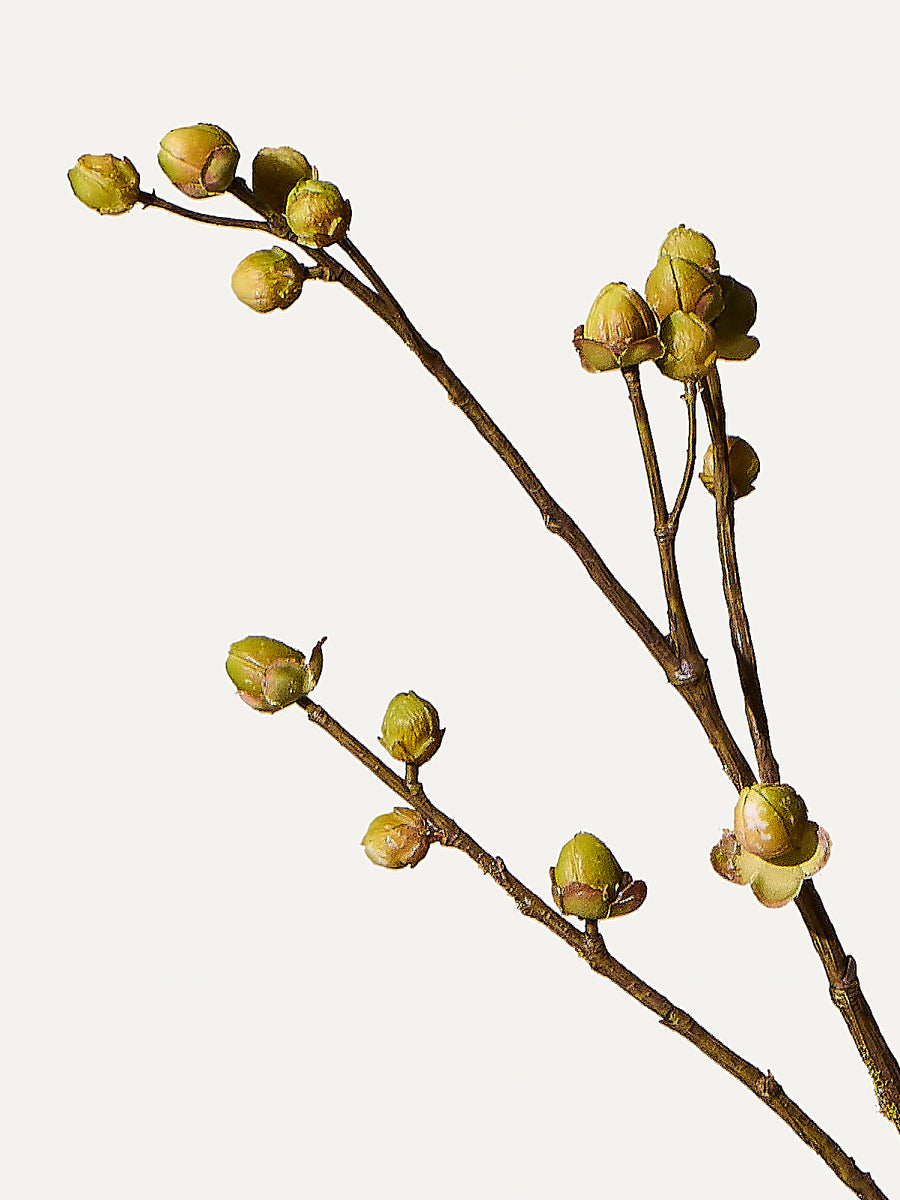 Beerenzweig 94 cm 1 Stk. - Kunstzweig