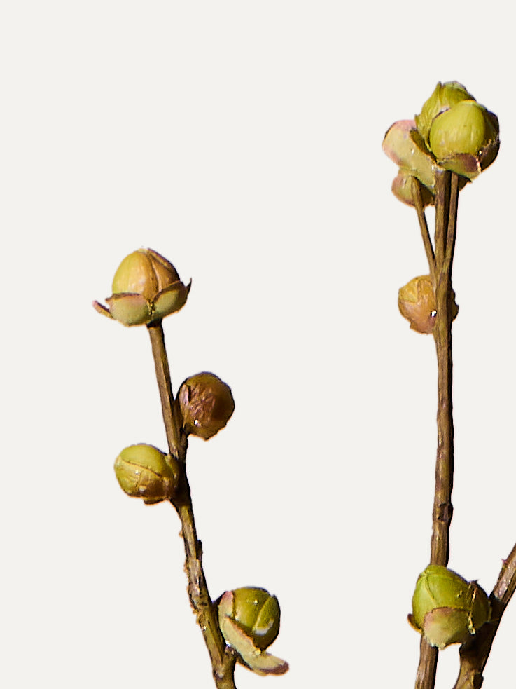 Berry branch 94 cm 1 piece - artificial branch