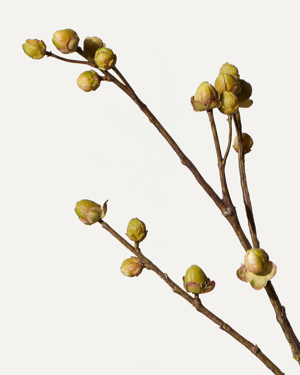 Beerenzweig 94 cm 1 Stk. - Kunstzweig