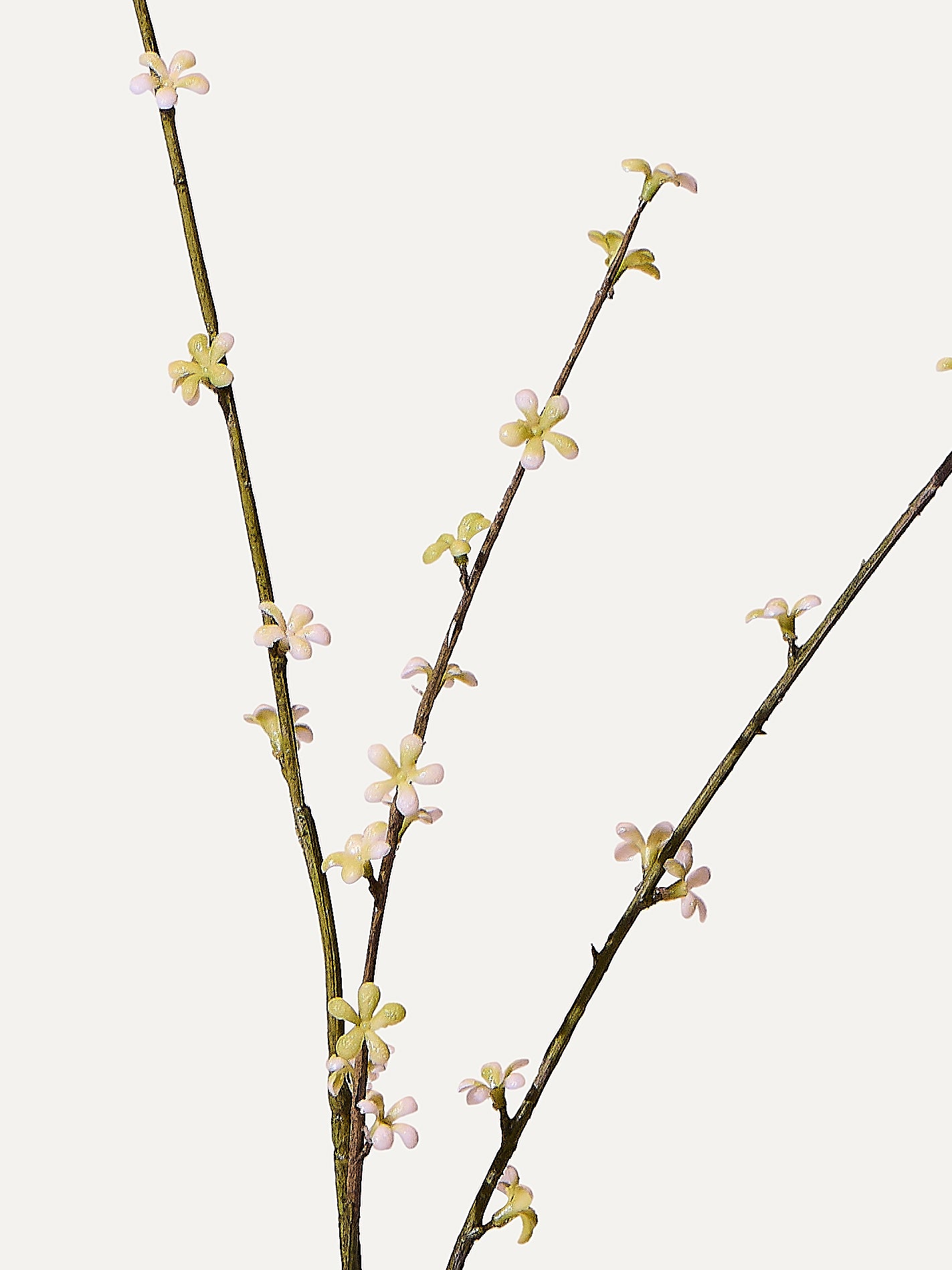 Pittosporum branch 85 cm 1 piece - artificial branch