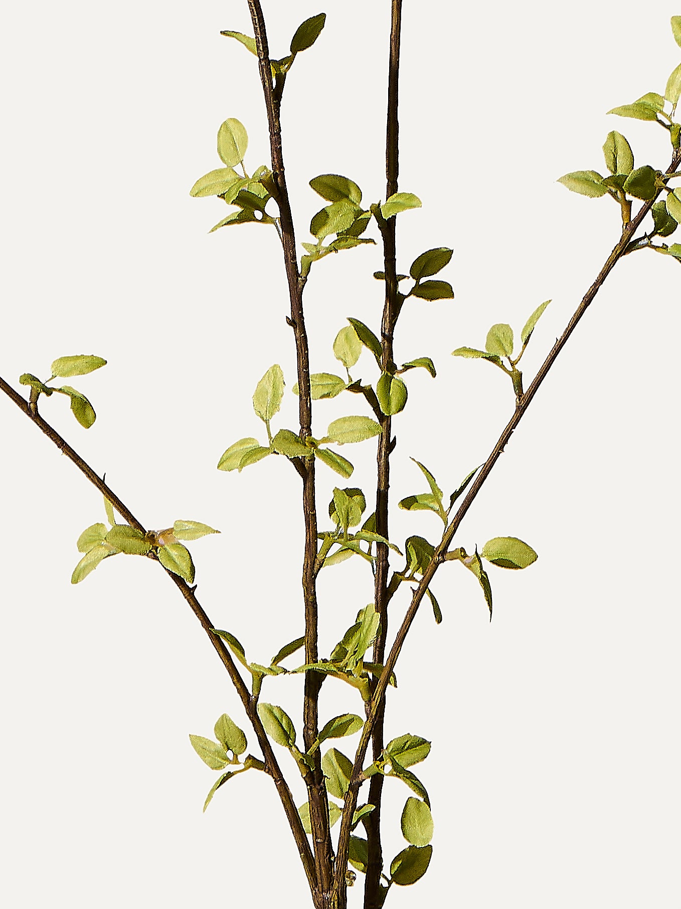 Amelanchier branch 122 cm 1 piece - artificial branch