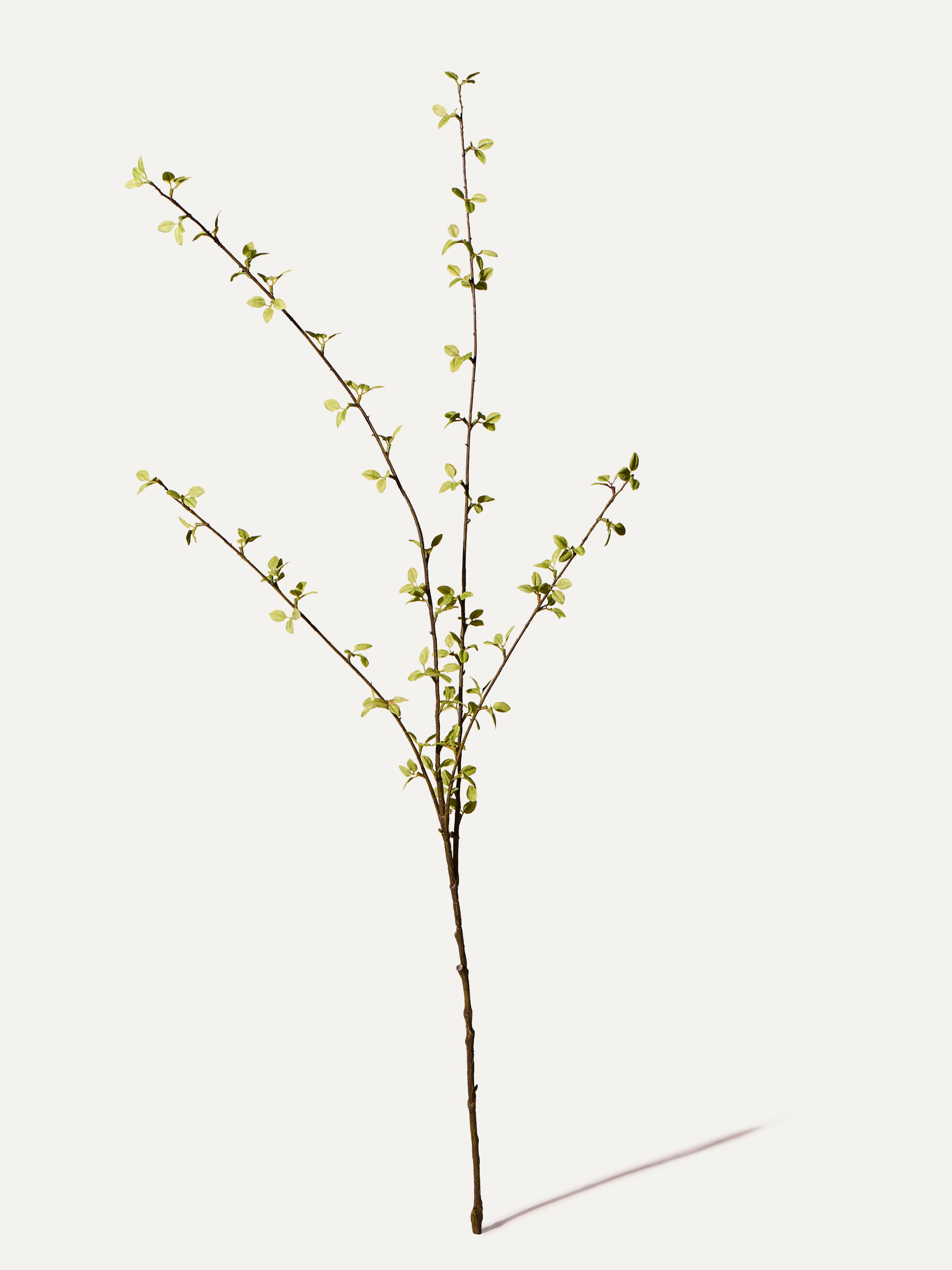 Amelanchier branch 122 cm 1 piece - artificial branch