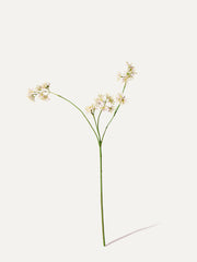 Aralia 74 cm 1 Stk. - Kunstblume
