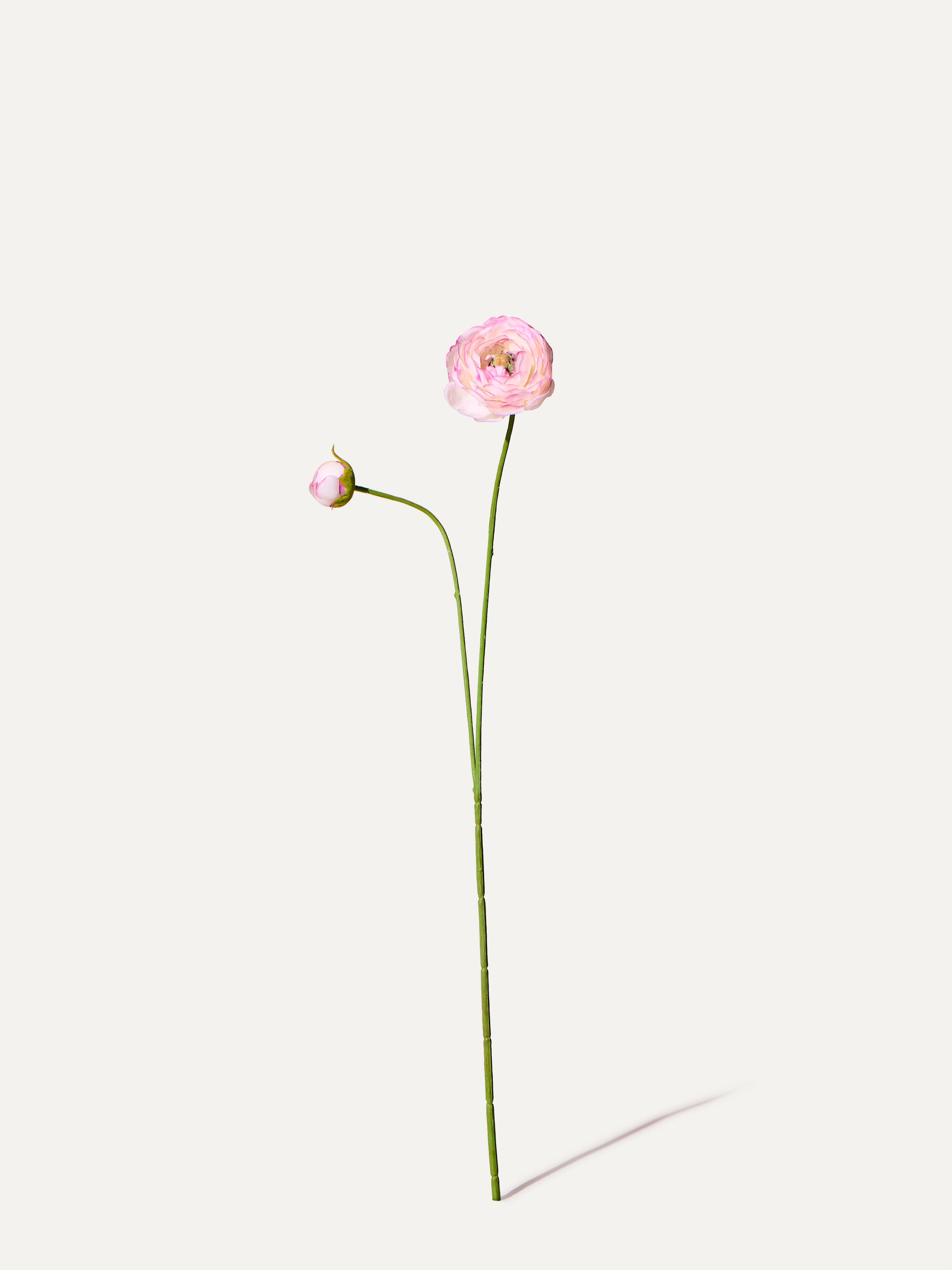 Ranunculus 64 cm 1 piece - artificial flower