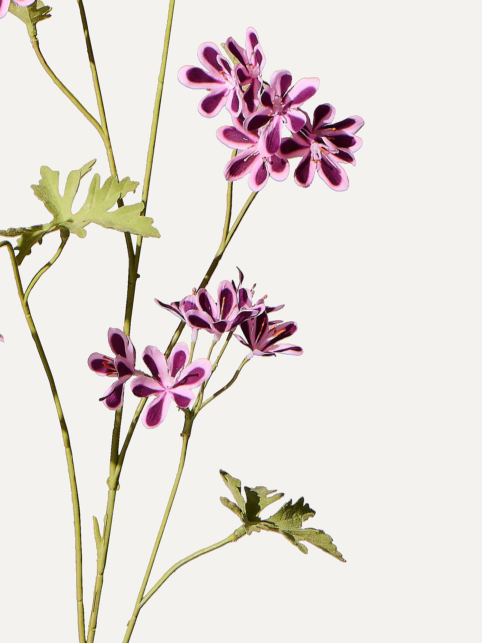 Geranie 94 cm 1 Stk. - Kunstblume