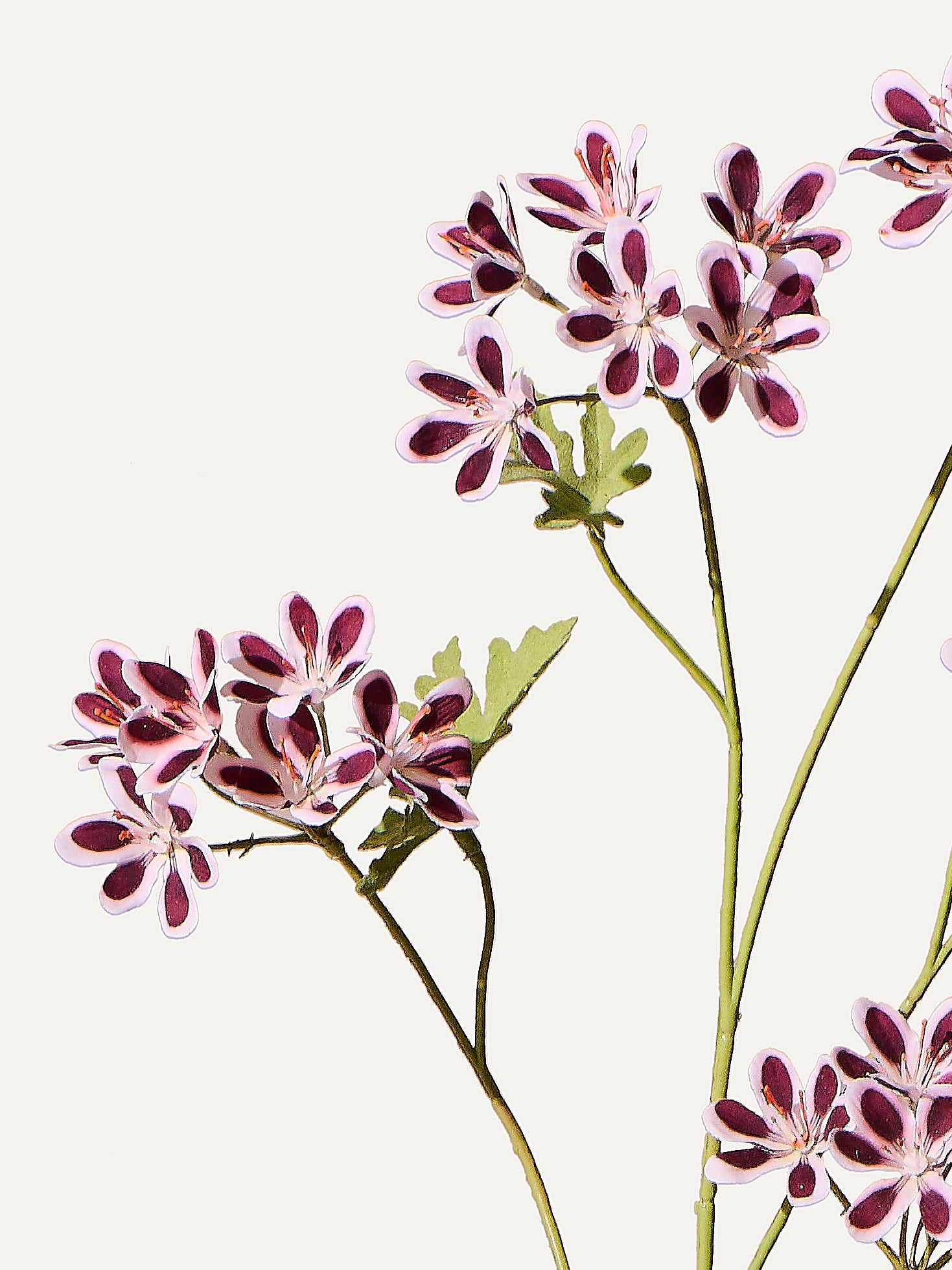 Geranium 94 cm 1 pc. - Artificial flower 