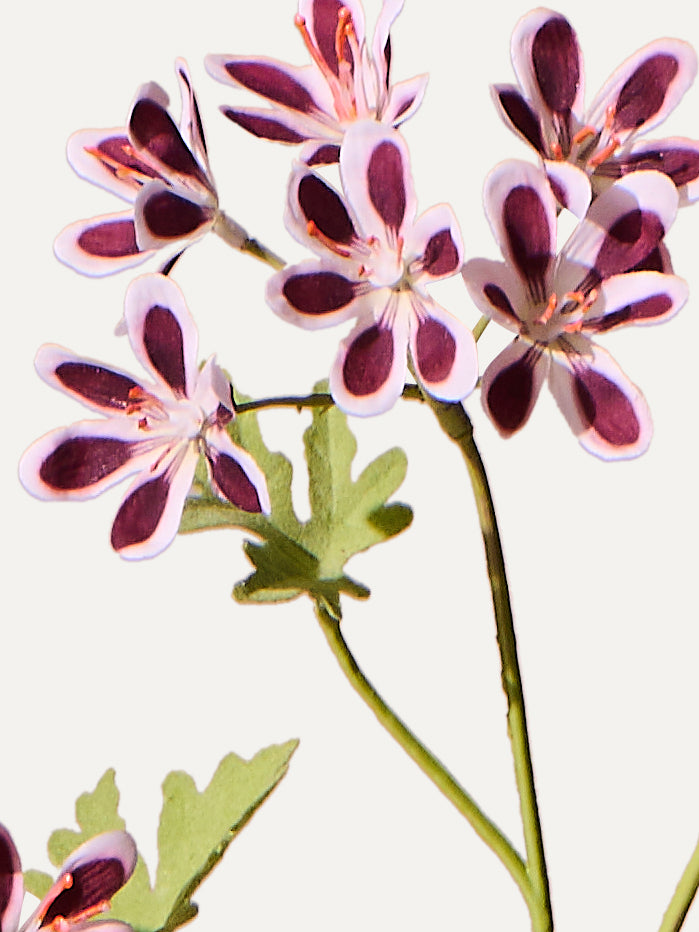 Geranie 94 cm 1 Stk. - Kunstblume