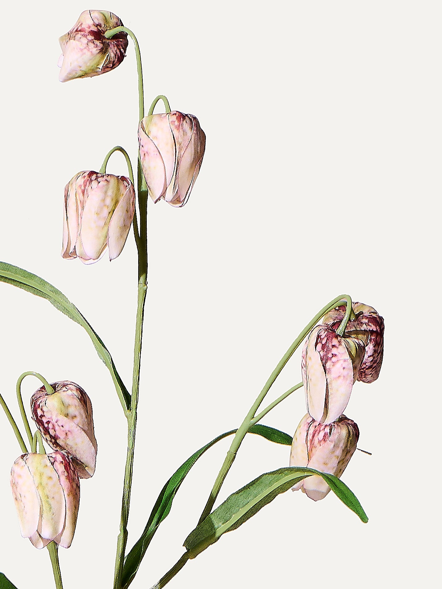 Schachblume 70 cm 1 Stk. - Kunstblume