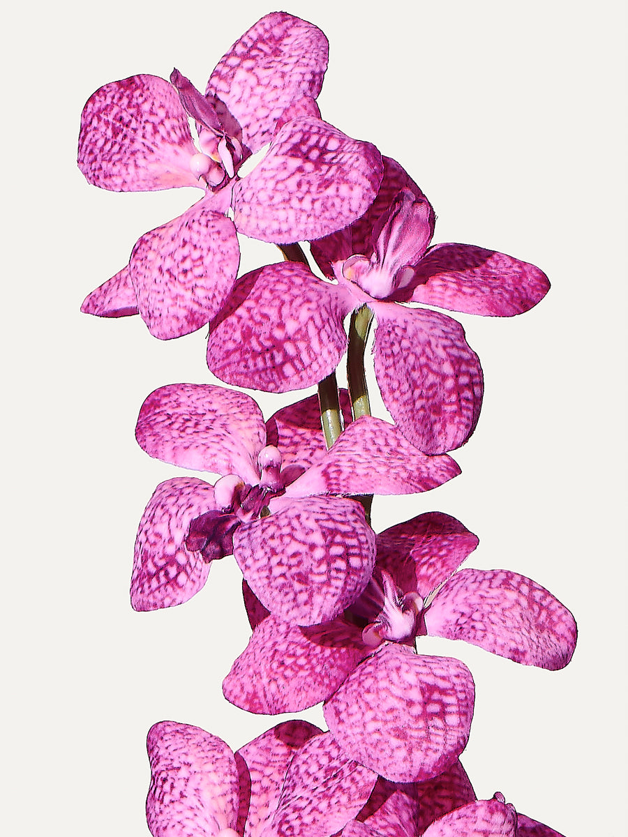 Orchidee 91 cm 1 Stk. - Kunstblume