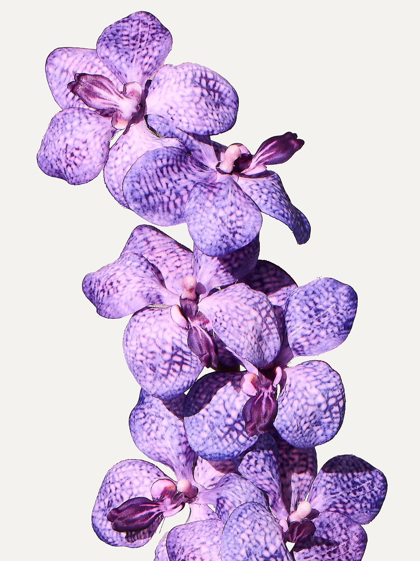 Orchid 91 cm 1 pc. - Artificial flower 