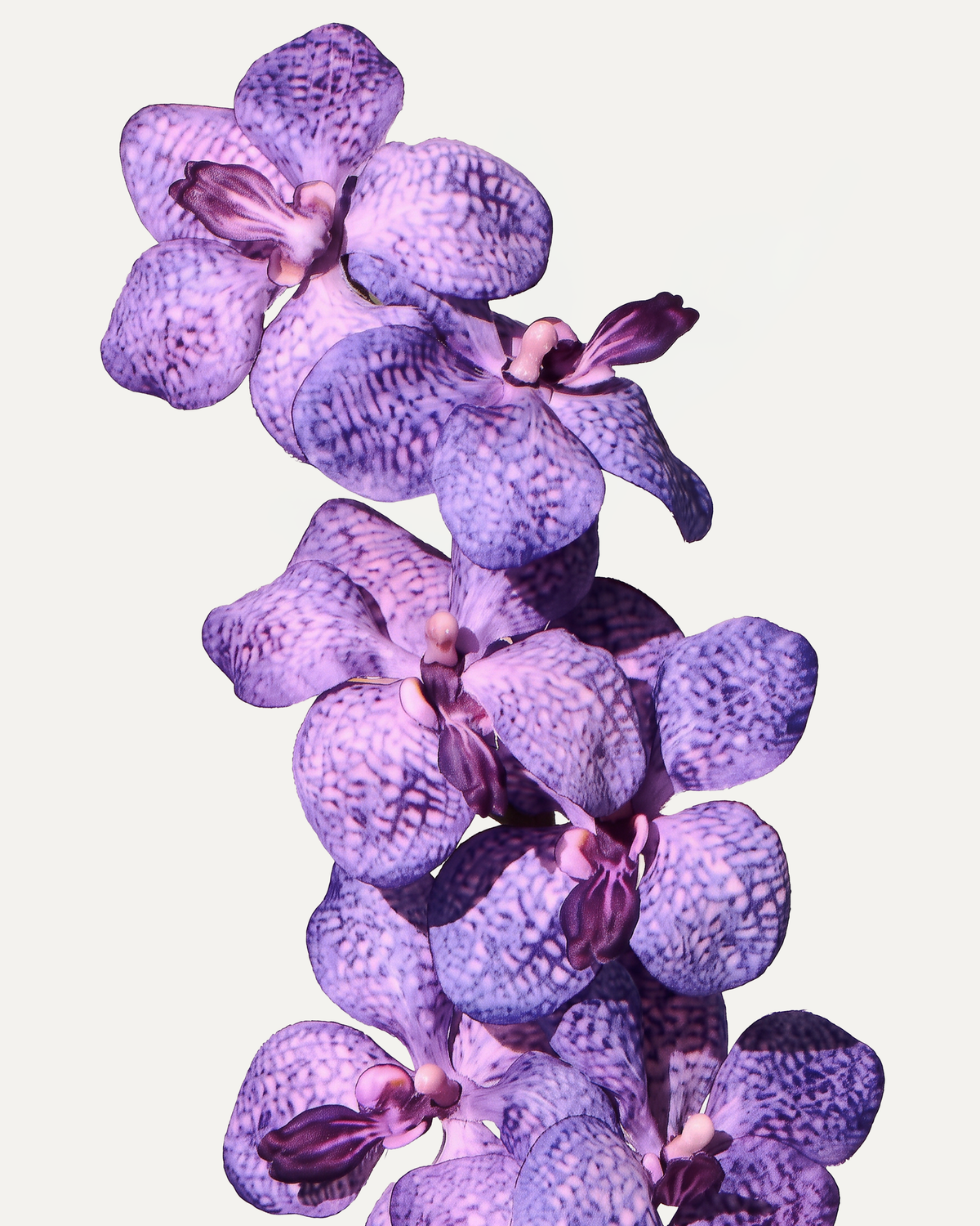 Orchidée 91 cm 1 pièce - Fleur artificielle 