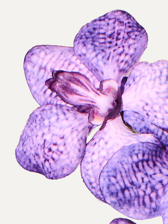 Orchidee 91 cm 1 Stk. - Kunstblume