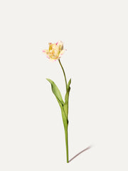 Tulip 72 cm 1 piece - artificial flower