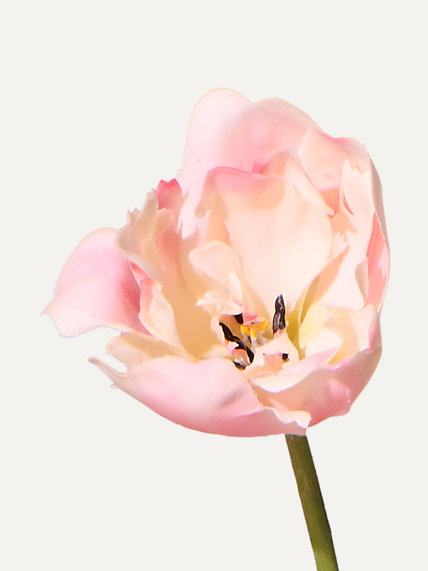 Tulip 72 cm 1 piece - artificial flower