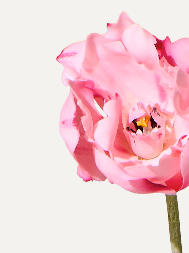 Tulip 72 cm 1 piece - artificial flower