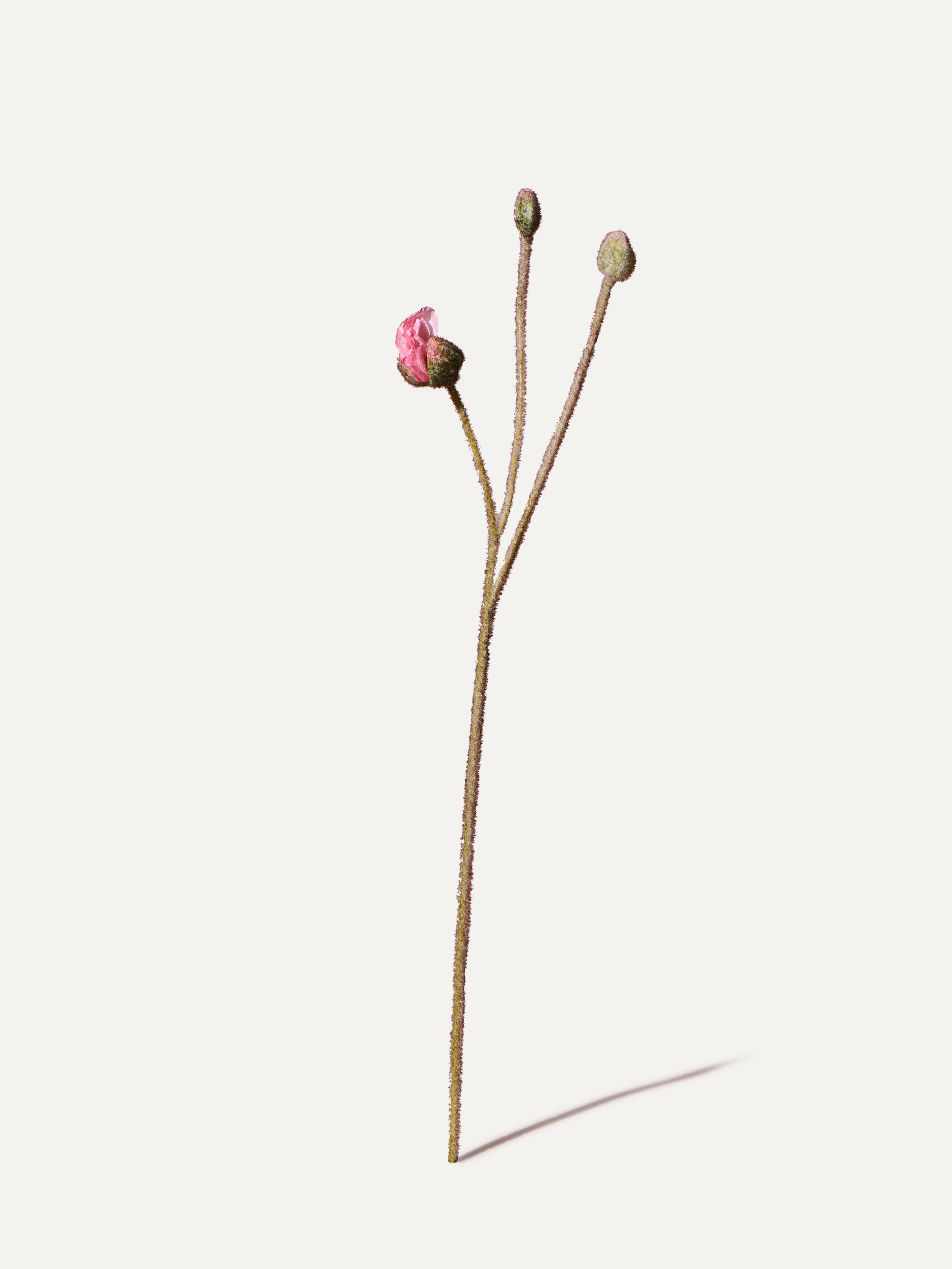 Poppy 82 cm 1 pc. - Artificial flower 