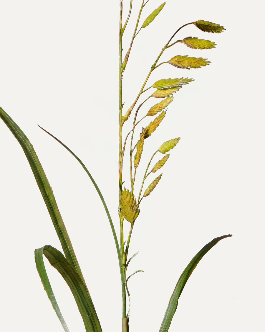 Graszweig 108 cm 1 Stk. - Kunstzweig