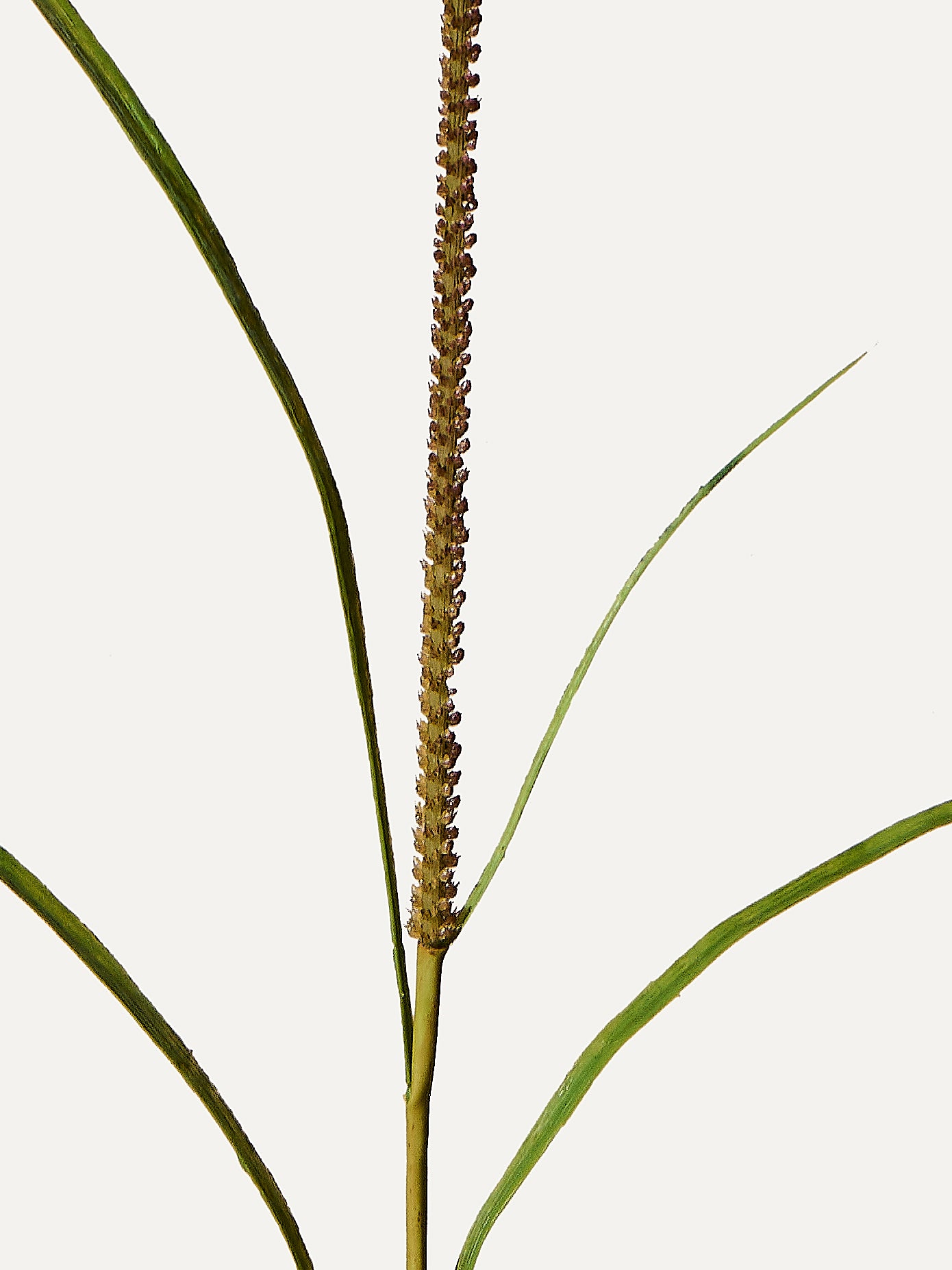 Gras Zweig 130 cm 1 Stk. - Kunstzweig